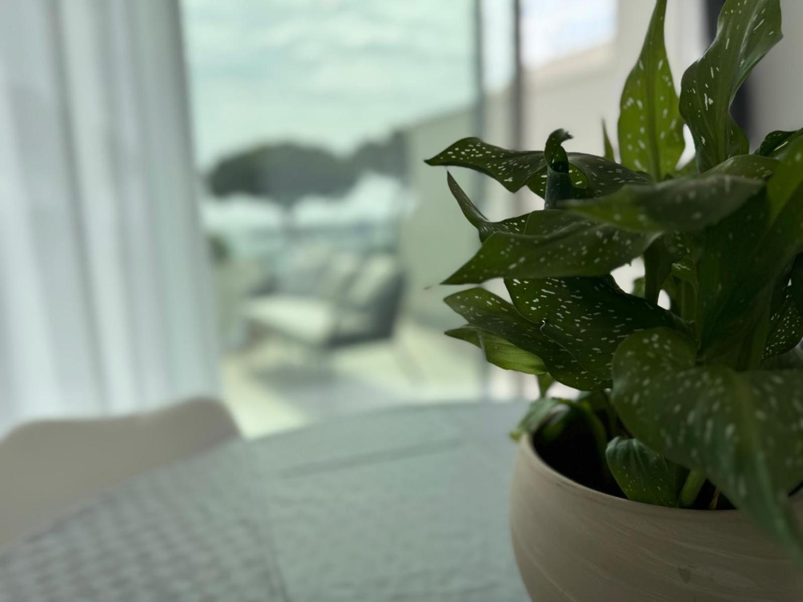 Iitana Luxury Apartment - Fronte Mare Con Vasca Idromassaggio Катания Екстериор снимка